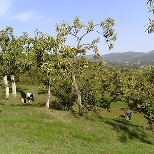 Alloggio per agriturismo La Casina, Caprese Michelangelo